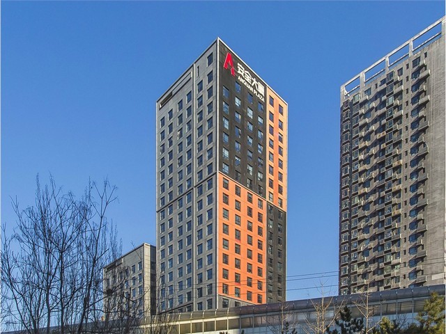 上海pe医用手套厂家电话